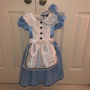 Alice Wonderland Costume/Dress Up